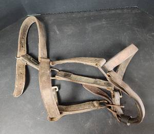lot 334 image: Draft Horse Halter