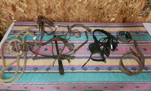 lot 335 image: Assorted Leathers for Horses