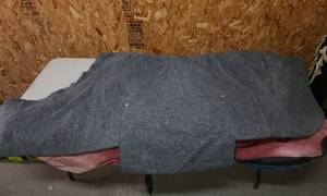 lot 336 image: (2) Horse Blankets