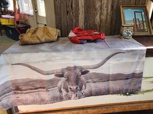 lot 70 image: Shower Curtain and Wall Hangings