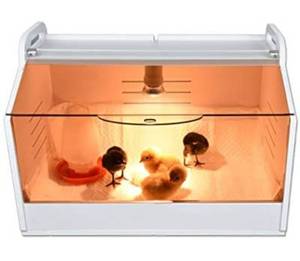 lot 54363 image: retails for 74.99 JAEDO Chick Brooder Brooding Box (19 x 12 x 12)