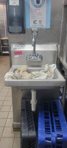 lot 18738 image: Regencey 600HS17 Single Well Wall-Mount Handwashing Sink