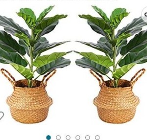 lot 67554 image: Ferrgoal Artificial Fiddle Leaf Fig Plants 22 Inch Fake Ficus Lyrata Tree with 14 Leaves in Pot