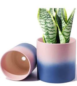 lot 57913 image: JOFAMY 2 Pack Ceramic Planter Pot 6.75.5 Inch Color Gradient Matte Glaze Finish Flowerpots for Indoor & Outdoor Plants, with Drainage Hole, Mesh Pads
