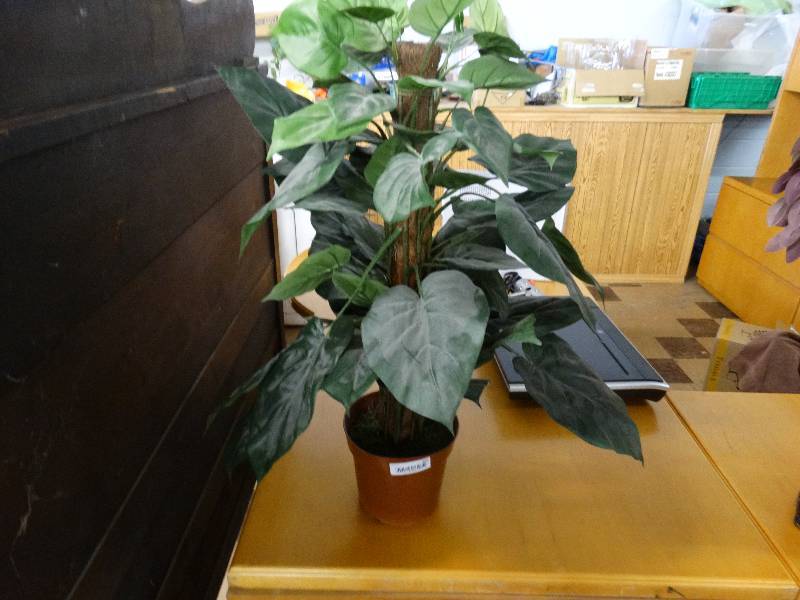 lot 350 image: Fake indoor decorative tree.