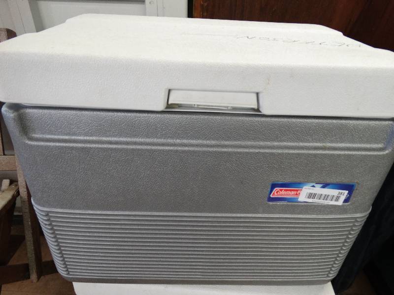 lot 381 image: Coleman cooler.