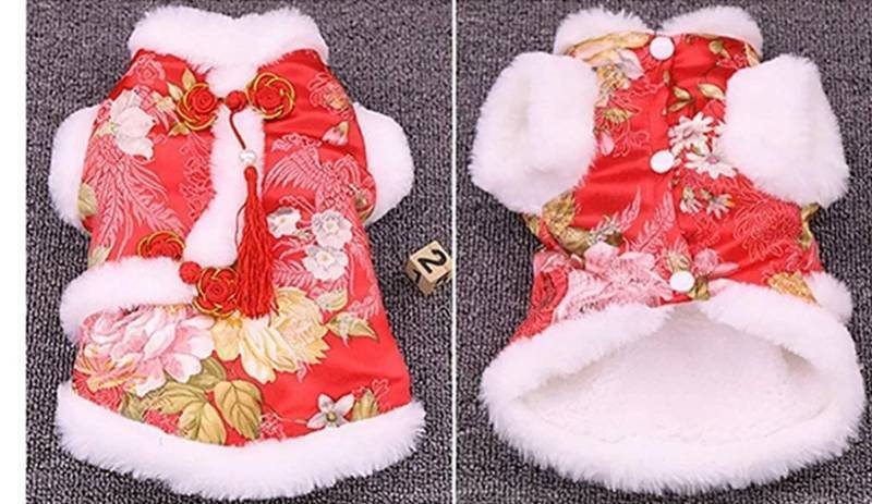 lot 36925 image: NACOCO Dog Peony Costume Pet New Year Costume Tang Dynasty Cat Dress for Schnauzer Teddy French Bulldog (XL, Red)