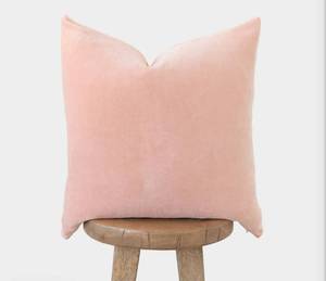 lot 37055 image: JUSPURBET Jam Soft Velvet Throw Pillow Covers 22x22 Set of 2,Decorative Solid Cushion Cases for Couch Sofa Bed