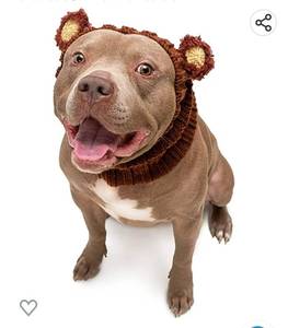 lot 37119 image: Zoo Snoods Fuzzy Bear Dog Costume, Large - Warm No Flap Ear Wrap Hood for Pets, Dog Outfit for Winter, Halloween, Christmas & New Year, Handmade Soft Yarn Ear Covers