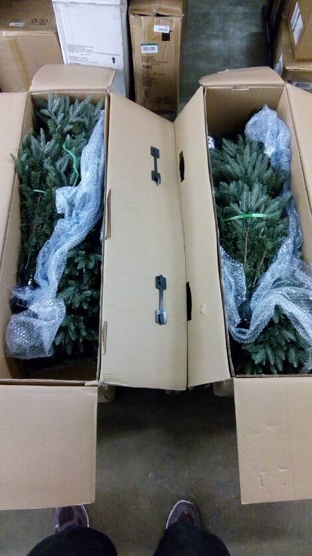 lot 6275 image: 10 ft. Pre-Lit Meadow Fir - Warm White LED