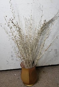 lot 201 image: Approx 40 Vase with Decorative Twigs -