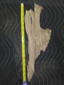 lot 222 image: Driftwood (4 Unique Pieces)