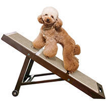 lot 20431 image: Merry Products Adjustable Dog Ramp Brown 37.99 L x 16 W x 33.5 H