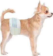 lot 20709 image: 50 male dog wraps xtra small