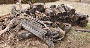 lot 3076 image: Firewood - Located by Yellow Barn