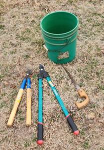 lot 3081 image: Loppers, Saw and Bucket