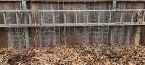 lot 3086 image: (10) 4ft Tall Tomato Cages