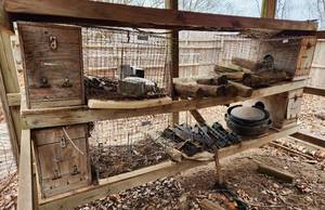 lot 3090 image: Contents of Chicken Coop Area under Tree Deck - Includes Cages, Dishes and More - LOOK AT ALL OF THE PICTURES
