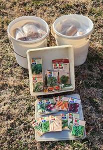 lot 3029 image: Seeds - Buckets and Tupperware Container Included