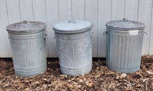 lot 1029 image: 3 Galvanized Trash Cans