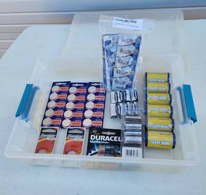 lot 4046 image: Batteries and Storage Container