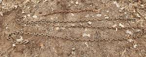 lot 2157 image: Tow Chain Approx 20ft