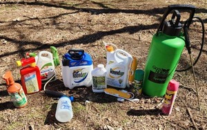 lot 2055 image: Sprayer and Lawn and Garden Chemicals