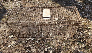 lot 2100 image: MSI True Catch Trap - 36 Long