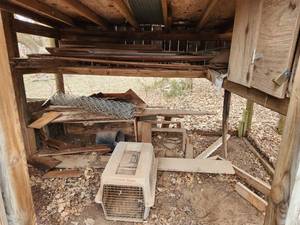 lot 2135 image: Contents in Chicken Coop Area
