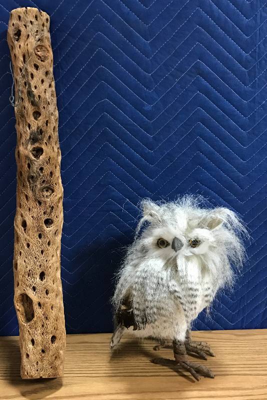 lot 3421 image: Really Cool White Owl and Cactus Hanging Wood
