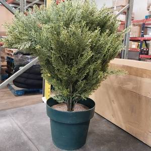 lot 1037 image: Artificial Plant Decorations