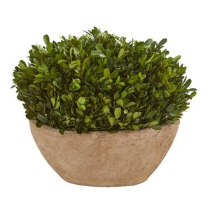 lot 1072 image: Nearly Natural Boxwood Preserved Plant In Oval Planter