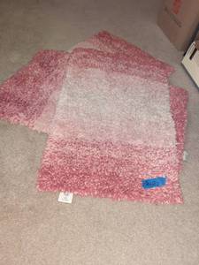 lot 3010 image: (3) Throw rugs. All same 36 x 22
