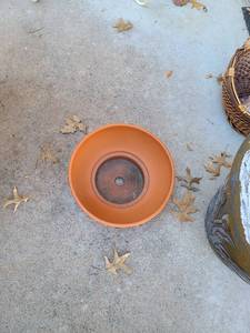 lot 5036 image: Terra cotta pot 12 wide