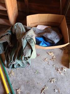 lot 5118 image: Garden freezing protection tarps