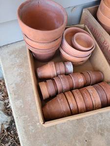 lot 5200 image: Flower pots and saucers