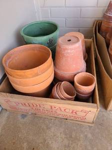 lot 5201 image: Flower pots in a wooden fruit crate