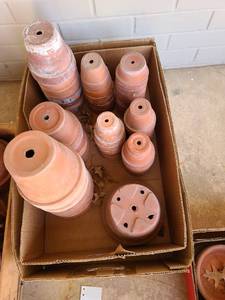 lot 5202 image: Clay flowerpots