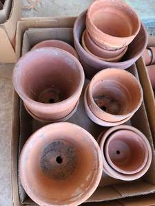 lot 5204 image: Clay flower pots and a couple of saucers