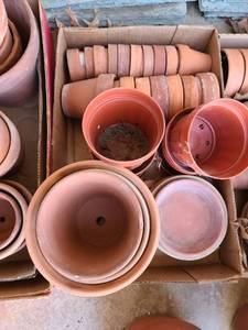 lot 5205 image: Clay and plastic flower pots and a few saucers