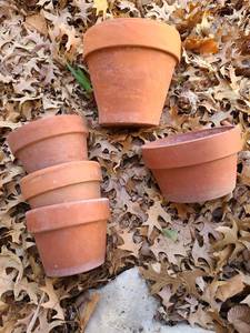 lot 5206 image: Clay flowerpots