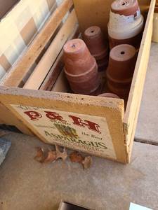 lot 5209 image: Clay flowerpots in asparagus crate