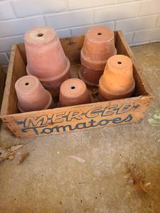 lot 5211 image: Clay flowerpots in Merced tomatoes crate