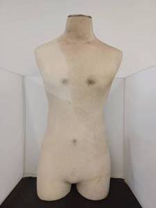 lot 379 image: Male Mannequin Body, Hes a little dirty but he can be washed up