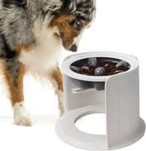 lot 1415 image: ADJUSTABLE RAISED PET BOWL