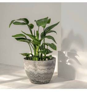 lot 1436 image: 2-Pack 14 Planter Pots - Faux Marble