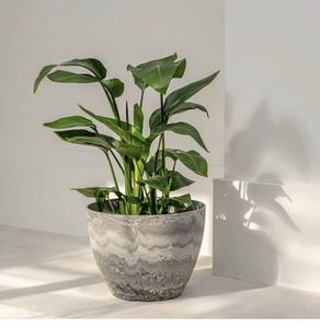 lot 1450 image: 2-Pack 14 Planter Pots - Faux Marble
