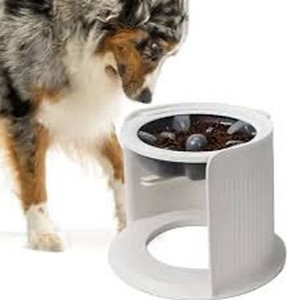 lot 5407 image: Slow Feeder Dog Bowl