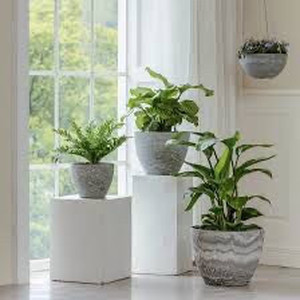 lot 5414 image: 3 La Jolie Muse flower planters