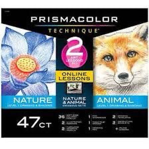 lot 6419 image: PRISMACOLOR Technique 2 Art Lessons Drawing and Shading 47ct